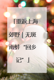 重返上海郊野｜无斑雨蛙“回乡记”