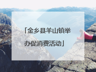 金乡县羊山镇举办促消费活动