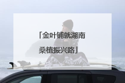 金叶铺就湖南桑植振兴路