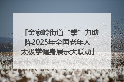 金家岭街道“拳”力助阵2025年全国老年人太极拳健身展示大联动