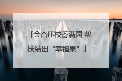 金杏压枝香满园 帮扶结出“幸福果”