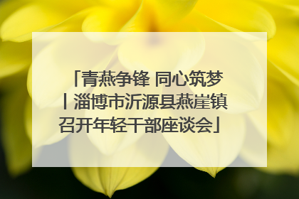 青燕争锋 同心筑梦丨淄博市沂源县燕崖镇召开年轻干部座谈会