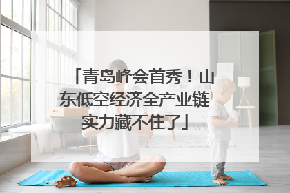 青岛峰会首秀！山东低空经济全产业链实力藏不住了