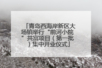 青岛西海岸新区大场镇举行“前河小院”共富项目（第一批）集中开业仪式