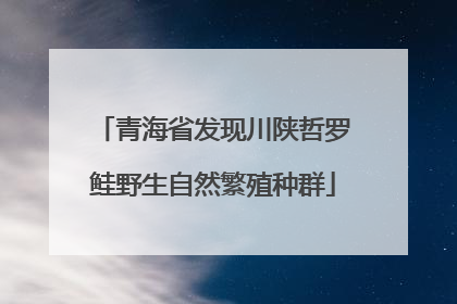 青海省发现川陕哲罗鲑野生自然繁殖种群