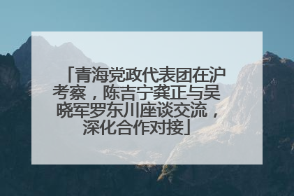青海党政代表团在沪考察，陈吉宁龚正与吴晓军罗东川座谈交流，深化合作对接