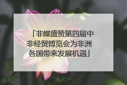 非媒盛赞第四届中非经贸博览会为非洲各国带来发展机遇