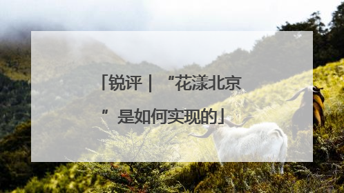 锐评｜“花漾北京”是如何实现的