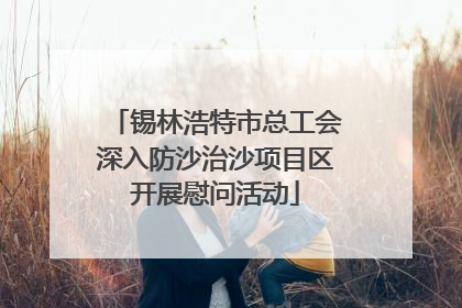 锡林浩特市总工会深入防沙治沙项目区开展慰问活动