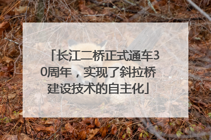 长江二桥正式通车30周年，实现了斜拉桥建设技术的自主化