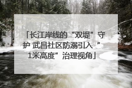 长江岸线的“双堤”守护 武昌社区防溺引入“1米高度”治理视角