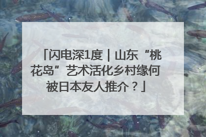 闪电深1度｜山东“桃花岛”艺术活化乡村缘何被日本友人推介？