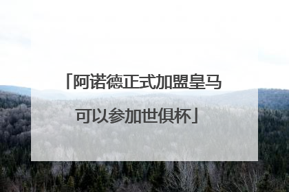 阿诺德正式加盟皇马 可以参加世俱杯