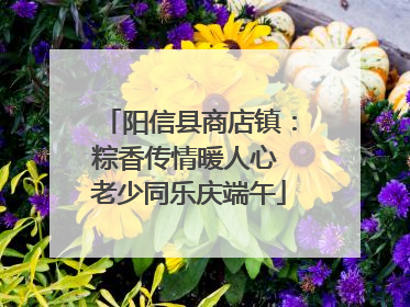 阳信县商店镇：粽香传情暖人心 老少同乐庆端午