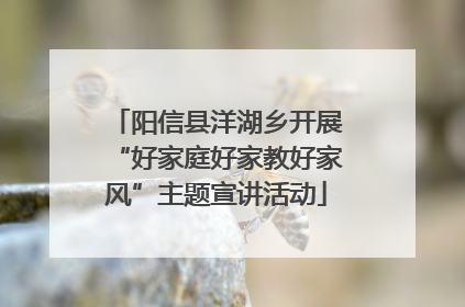 阳信县洋湖乡开展“好家庭好家教好家风”主题宣讲活动