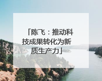 陈飞：推动科技成果转化为新质生产力