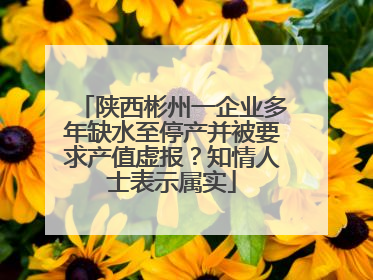 陕西彬州一企业多年缺水至停产并被要求产值虚报？知情人士表示属实