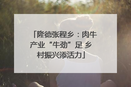 隆德张程乡：肉牛产业“牛劲”足 乡村振兴添活力
