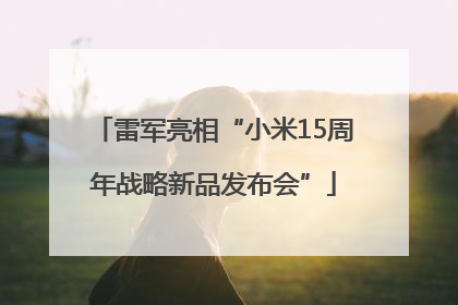 雷军亮相“小米15周年战略新品发布会”