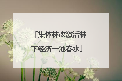 集体林改激活林下经济一池春水