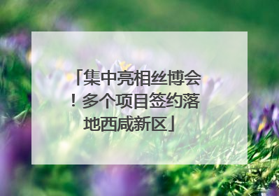 集中亮相丝博会！多个项目签约落地西咸新区