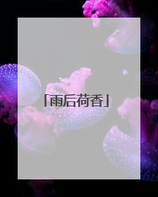 雨后荷香