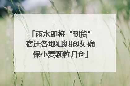 雨水即将“到货” 宿迁各地组织抢收 确保小麦颗粒归仓