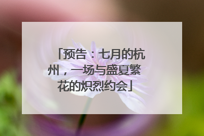 预告：七月的杭州，一场与盛夏繁花的炽烈约会
