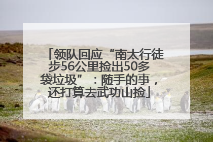领队回应“南太行徒步56公里捡出50多袋垃圾”：随手的事，还打算去武功山捡