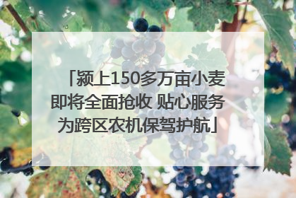 颍上150多万亩小麦即将全面抢收 贴心服务为跨区农机保驾护航