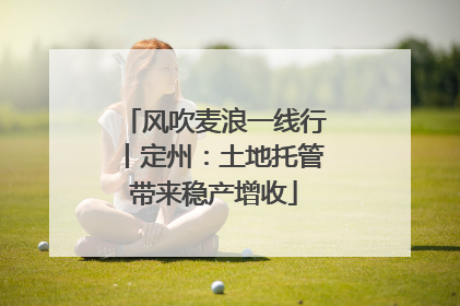 风吹麦浪一线行丨定州：土地托管带来稳产增收