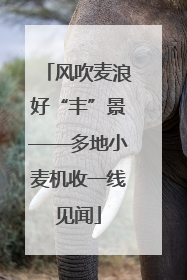 风吹麦浪好“丰”景——多地小麦机收一线见闻