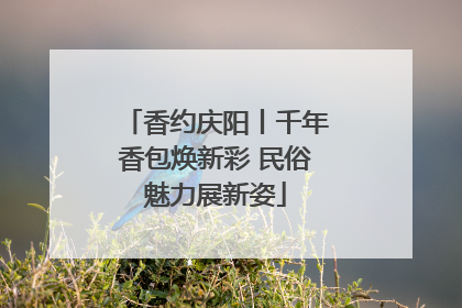 香约庆阳丨千年香包焕新彩 民俗魅力展新姿