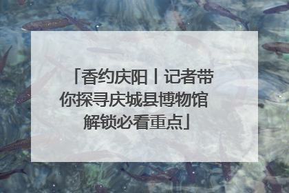 香约庆阳丨记者带你探寻庆城县博物馆 解锁必看重点