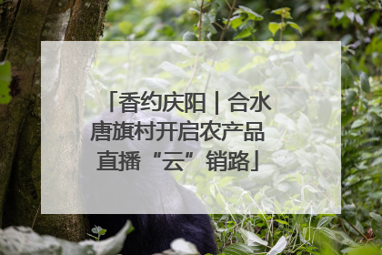 香约庆阳｜合水唐旗村开启农产品直播“云”销路