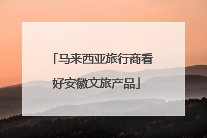 马来西亚旅行商看好安徽文旅产品