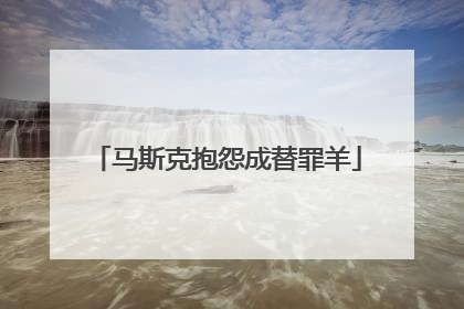 马斯克抱怨成替罪羊