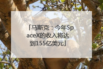 马斯克：今年SpaceX的收入将达到155亿美元