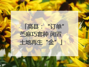高县：“订单”苎麻巧套种 闲置土地再生“金”
