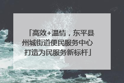 高效+温情，东平县州城街道便民服务中心打造为民服务新标杆