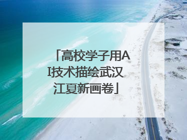 高校学子用AI技术描绘武汉江夏新画卷