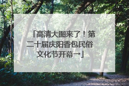 高清大图来了！第二十届庆阳香包民俗文化节开幕→