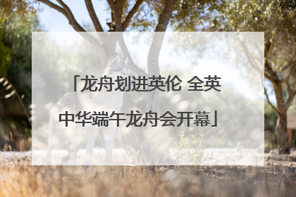 龙舟划进英伦 全英中华端午龙舟会开幕