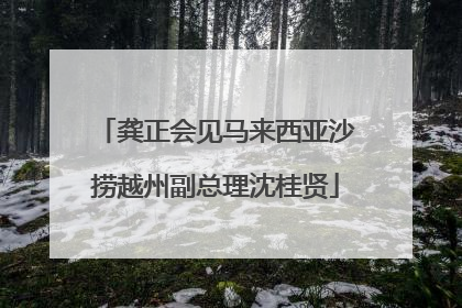 龚正会见马来西亚沙捞越州副总理沈桂贤