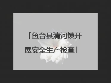 鱼台县清河镇开展安全生产检查