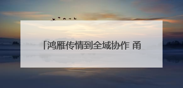 鸿雁传情到全域协作 甬库共绘民族团结新图景