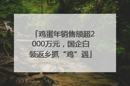 鸡蛋年销售额超2000万元，国企白领返乡抓“鸡”遇