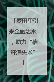麦田里引来金融活水，助力“秸秆消失术”