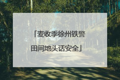 麦收季徐州铁警田间地头话安全
