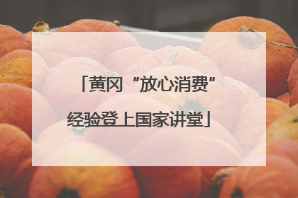 黄冈“放心消费”经验登上国家讲堂